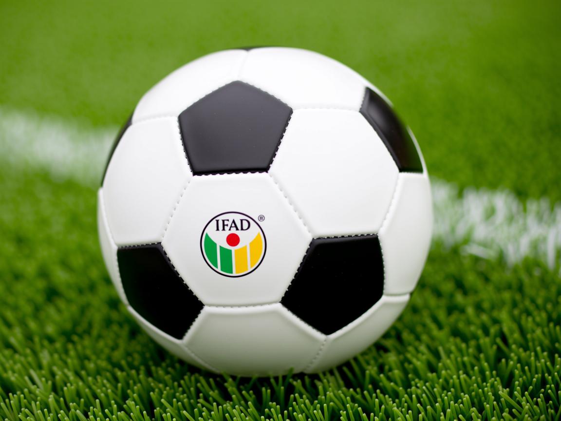 od体育app官网-攀岩赛事组织标准化流程发布实施，攀岩赛事组织策划